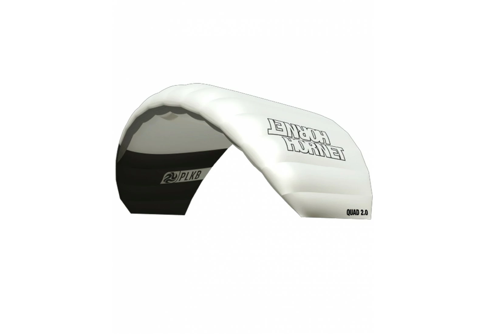 PETER LYNN HORNET – Image 5