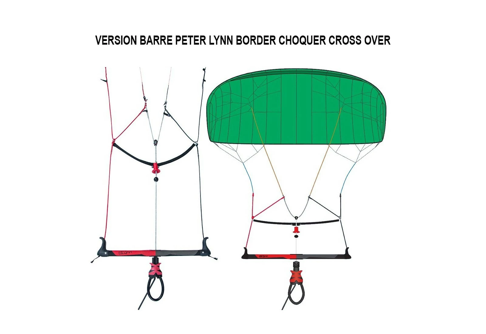 PETER LYNN HORNET – Image 10